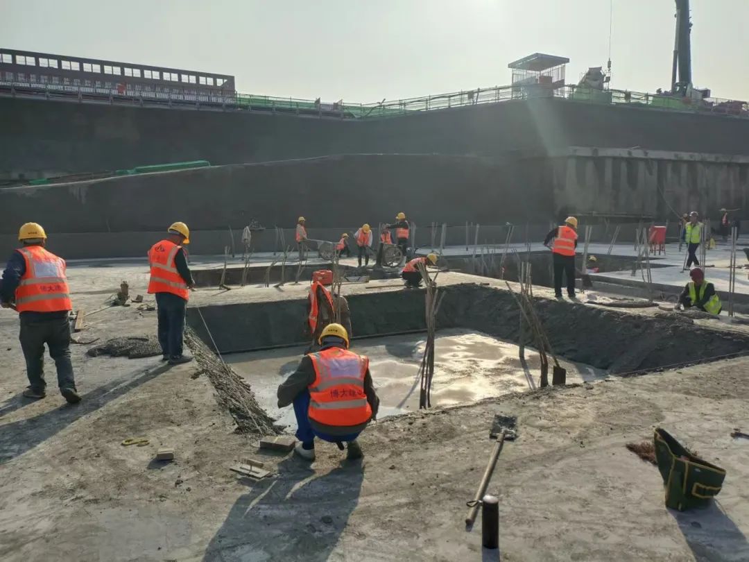 1733109171830088564.jpg 1733109171830088564.jpg